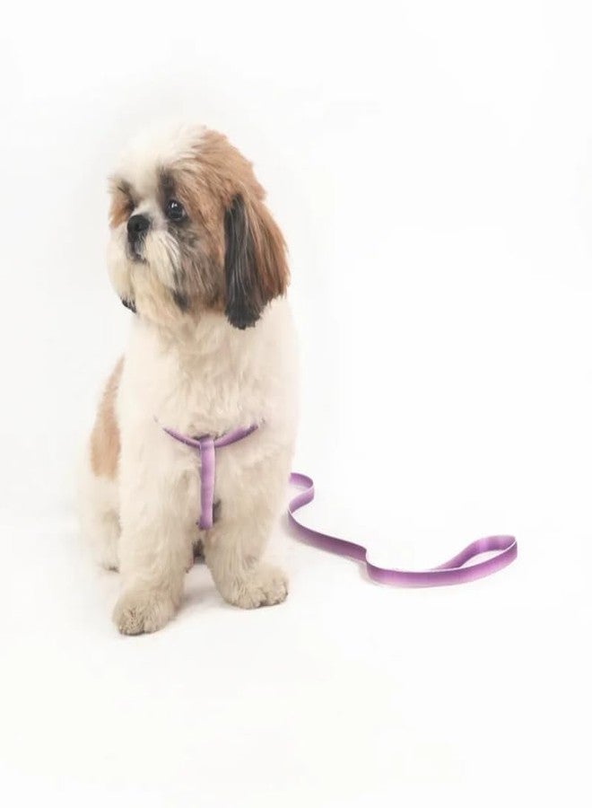 KittuPet Small Dog Harness and Leash Set, No Pull Dog Harness Adjustable Reflective, Dog Vest Harnesses Comfort Padded Handle, Pet Harness for Training Outdoor Walking, 15mm (Purple) - Image 2